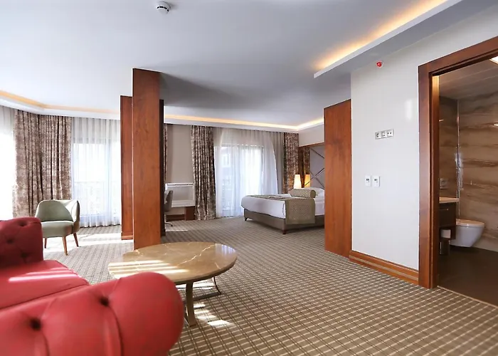 ホテル Q アンカラ