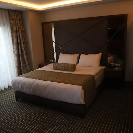 Q Hotel 4*